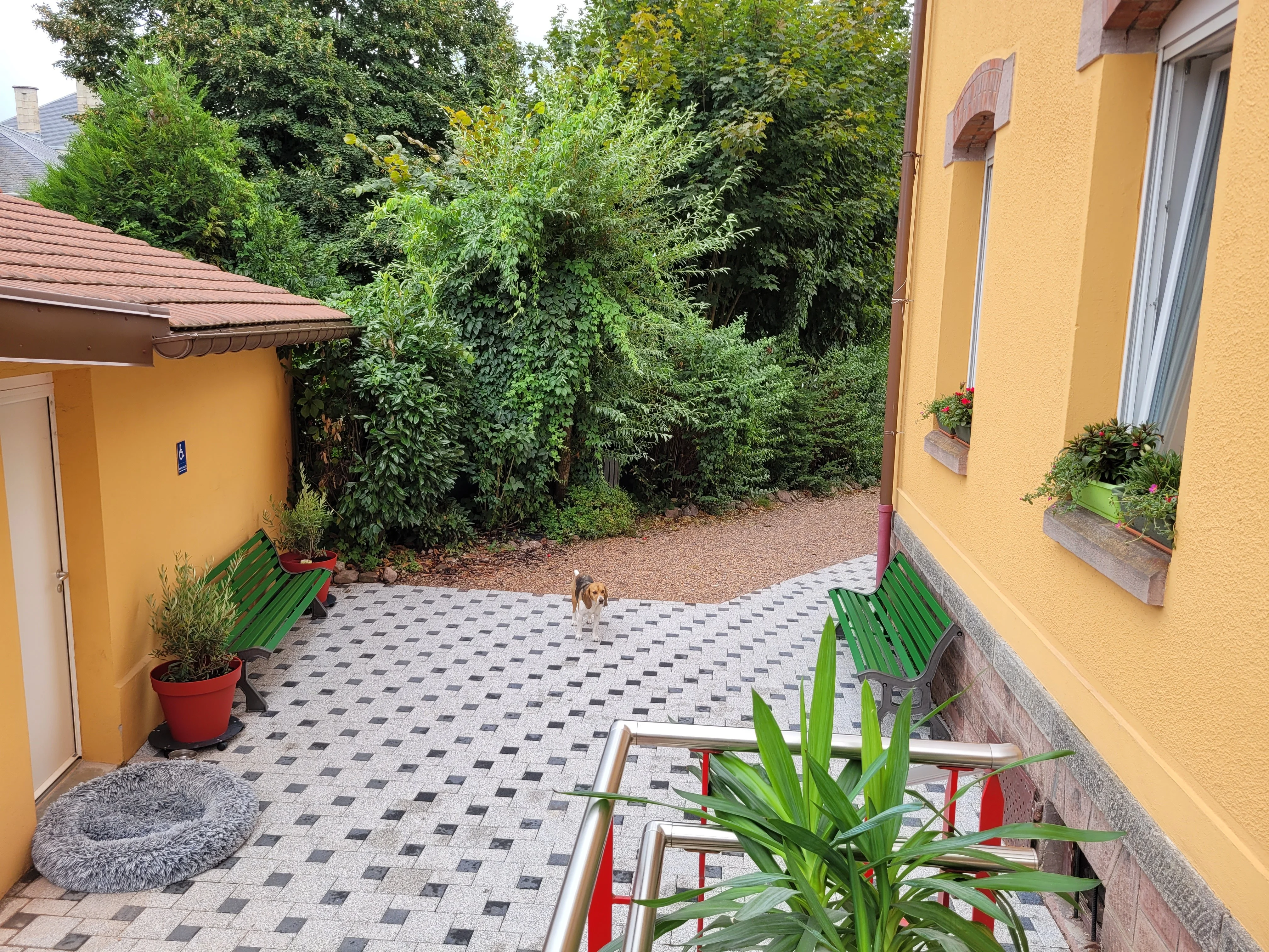 Salle d'attente dehors 2